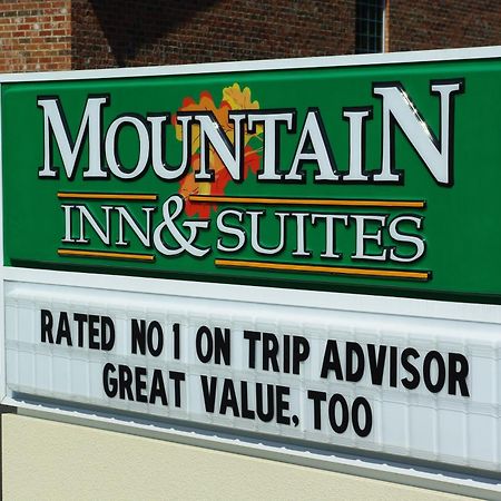 Mountain Inn & Suites Airport - Hendersonville Exterior photo
